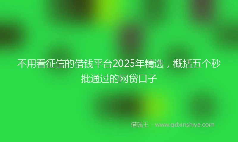 不用看征信的借钱平台2025年精选，概括五个秒批通过的网贷口子