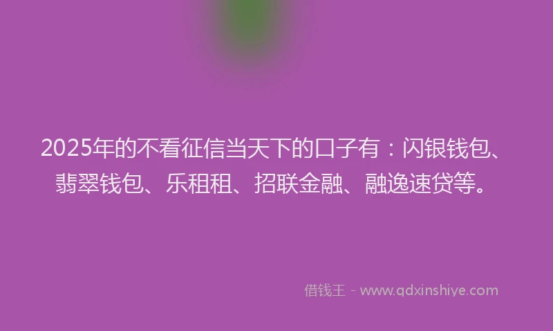 2025年的不看征信当天下的口子有：闪银钱包、翡翠钱包、乐租租、招联金融、融逸速贷等。