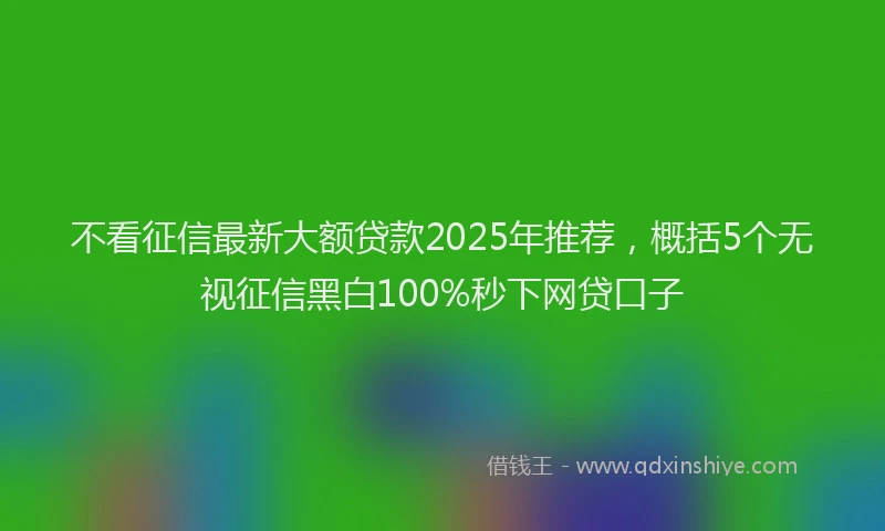 不看征信最新大额贷款2025年推荐，概括5个无视征信黑白100%秒下网贷口子