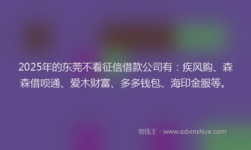 2025年的东莞不看征信借款公司有：疾风购、森森借呗通、爱木财富、多多钱包、海印金服等。