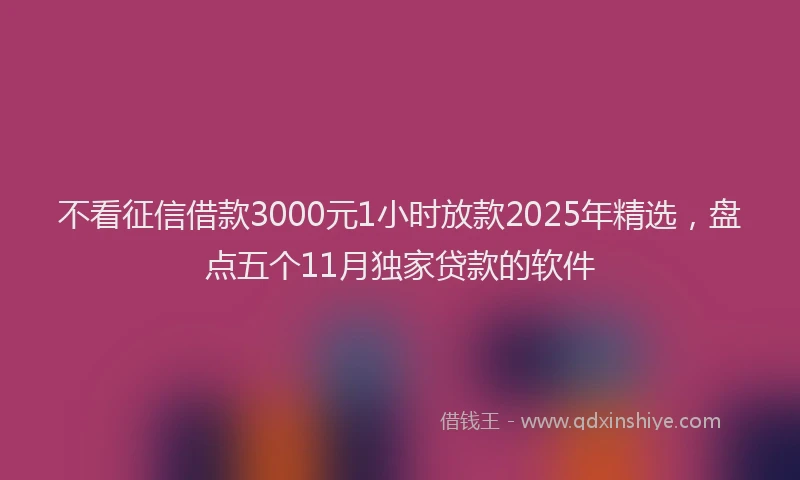 不看征信借款3000元1小时放款2025年精选，盘点五个11月独家贷款的软件