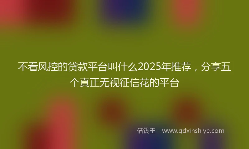 不看风控的贷款平台叫什么2025年推荐，分享五个真正无视征信花的平台