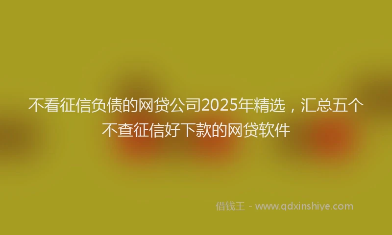 不看征信负债的网贷公司2025年精选，汇总五个不查征信好下款的网贷软件