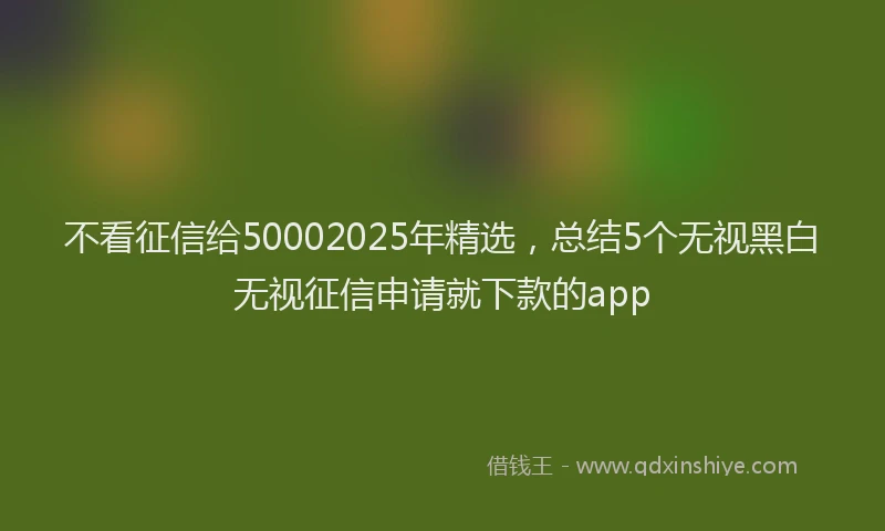 不看征信给50002025年精选，总结5个无视黑白无视征信申请就下款的app
