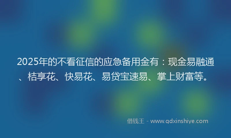 2025年的不看征信的应急备用金有：现金易融通、桔享花、快易花、易贷宝速易、掌上财富等。
