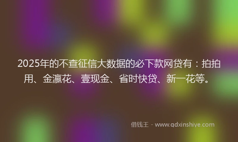 2025年的不查征信大数据的必下款网贷有：拍拍用、金瀛花、壹现金、省时快贷、新一花等。
