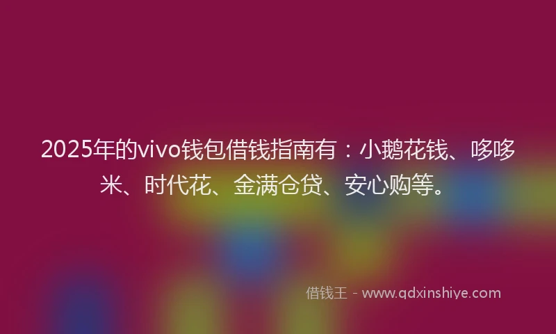 2025年的vivo钱包借钱指南有：小鹅花钱、哆哆米、时代花、金满仓贷、安心购等。