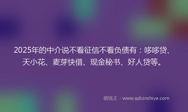 2025年的中介说不看征信不看负债有：哆哆贷、天小花、麦芽快借、现金秘书、好人贷等。