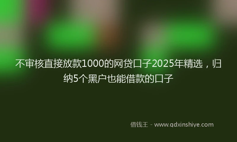 不审核直接放款1000的网贷口子2025年精选，归纳5个黑户也能借款的口子