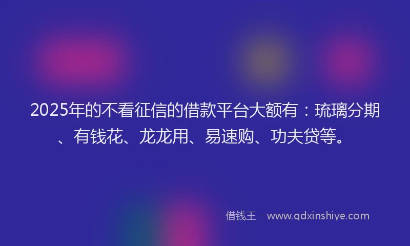 2025年的不看征信的借款平台大额有：琉璃分期、有钱花、龙龙用、易速购、功夫贷等。
