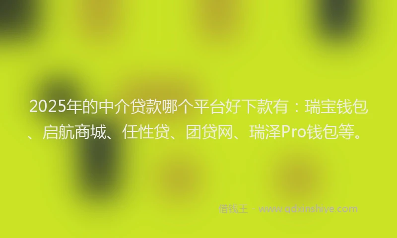 2025年的中介贷款哪个平台好下款有：瑞宝钱包、启航商城、任性贷、团贷网、瑞泽Pro钱包等。