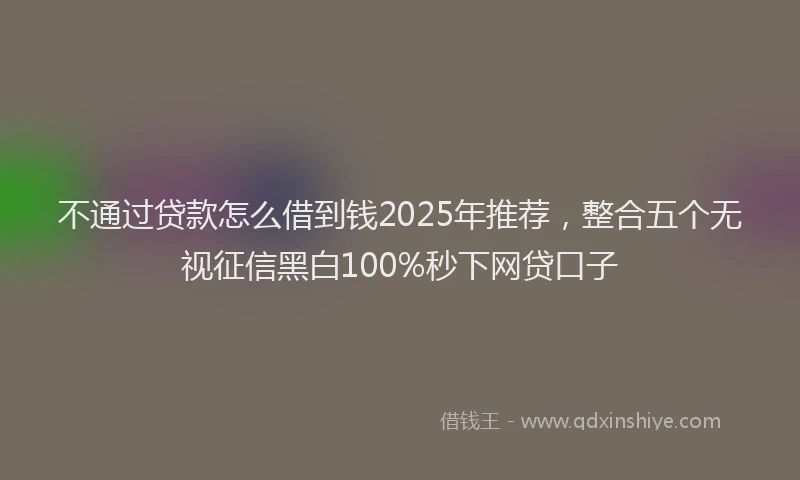 不通过贷款怎么借到钱2025年推荐，整合五个无视征信黑白100%秒下网贷口子