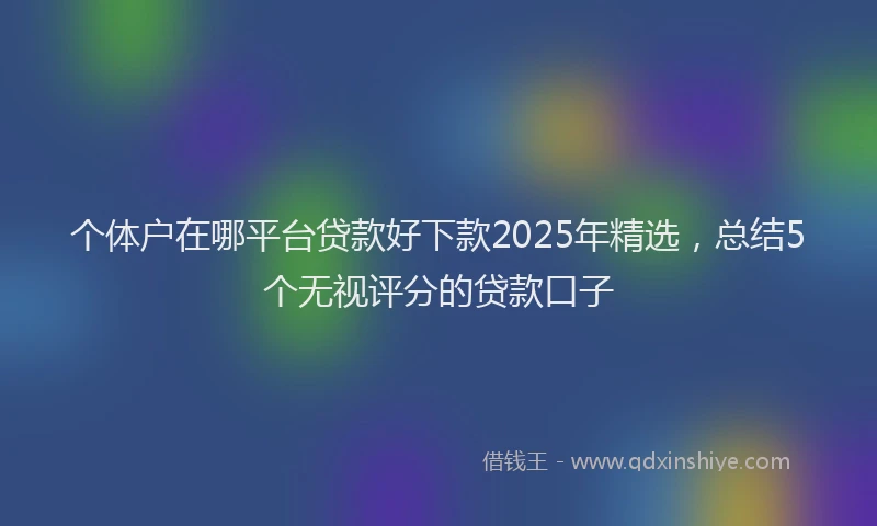 个体户在哪平台贷款好下款2025年精选，总结5个无视评分的贷款口子