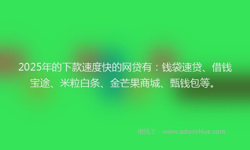 2025年的下款速度快的网贷有：钱袋速贷、借钱宝途、米粒白条、金芒果商城、甄钱包等。