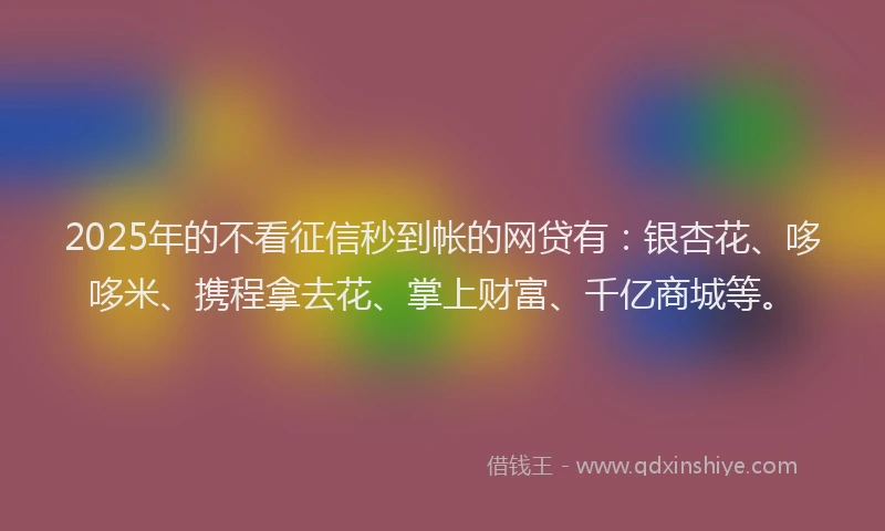 2025年的不看征信秒到帐的网贷有：银杏花、哆哆米、携程拿去花、掌上财富、千亿商城等。