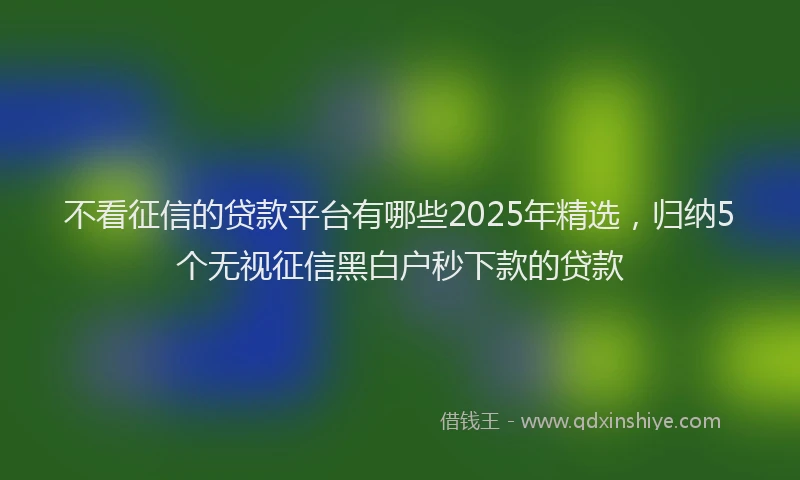 不看征信的贷款平台有哪些2025年精选，归纳5个无视征信黑白户秒下款的贷款