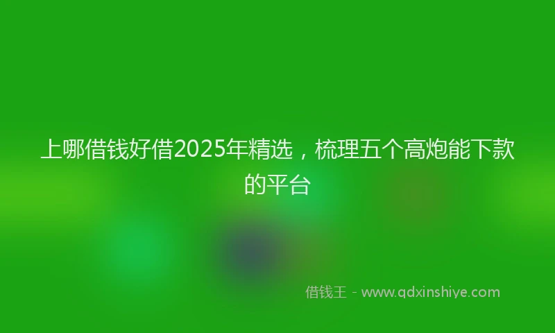 上哪借钱好借2025年精选，梳理五个高炮能下款的平台