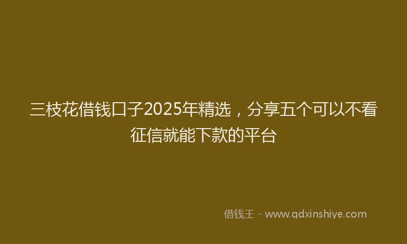 三枝花借钱口子2025年精选，分享五个可以不看征信就能下款的平台