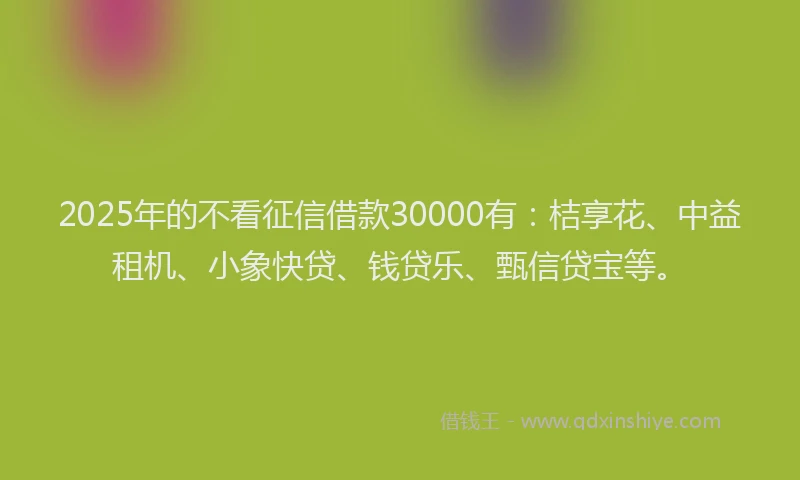 2025年的不看征信借款30000有：桔享花、中益租机、小象快贷、钱贷乐、甄信贷宝等。