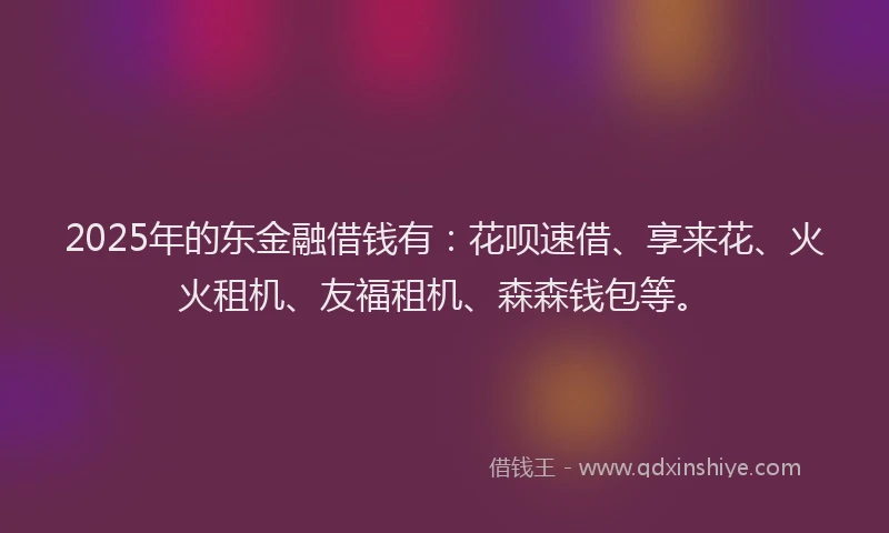 2025年的东金融借钱有：花呗速借、享来花、火火租机、友福租机、森森钱包等。