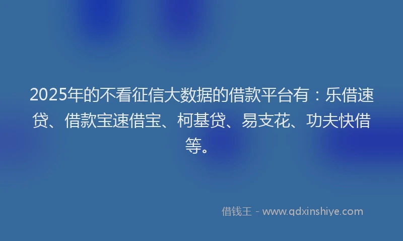 2025年的不看征信大数据的借款平台有：乐借速贷、借款宝速借宝、柯基贷、易支花、功夫快借等。
