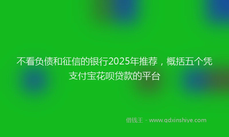 不看负债和征信的银行2025年推荐，概括五个凭支付宝花呗贷款的平台