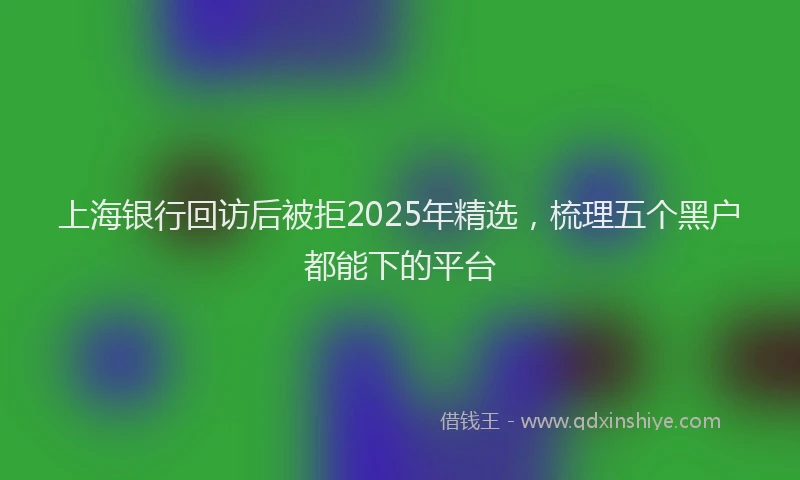 上海银行回访后被拒2025年精选，梳理五个黑户都能下的平台
