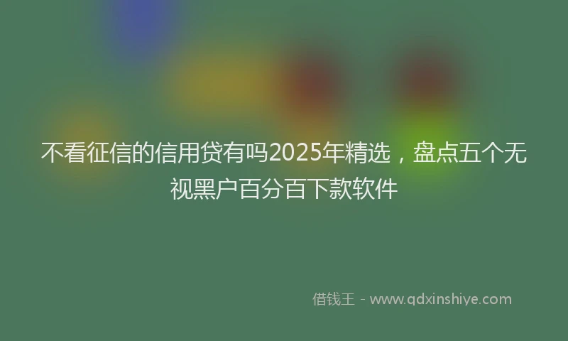 不看征信的信用贷有吗2025年精选，盘点五个无视黑户百分百下款软件