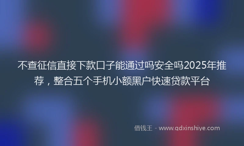 不查征信直接下款口子能通过吗安全吗2025年推荐，整合五个手机小额黑户快速贷款平台