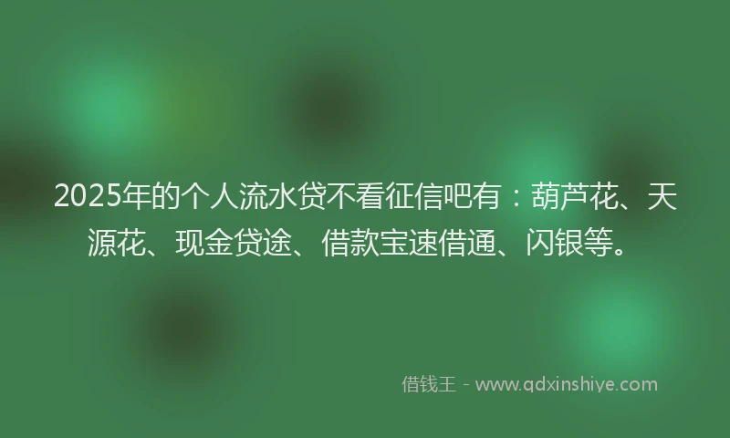 2025年的个人流水贷不看征信吧有：葫芦花、天源花、现金贷途、借款宝速借通、闪银等。