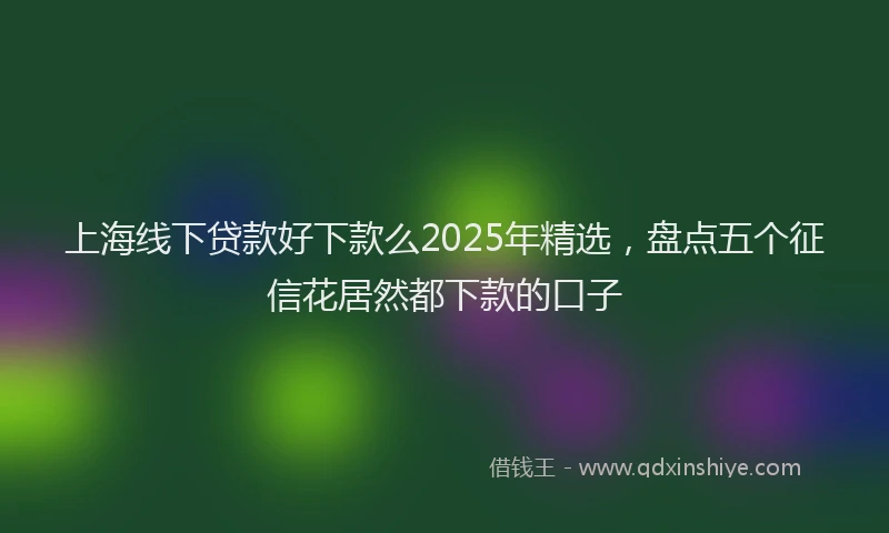 上海线下贷款好下款么2025年精选，盘点五个征信花居然都下款的口子