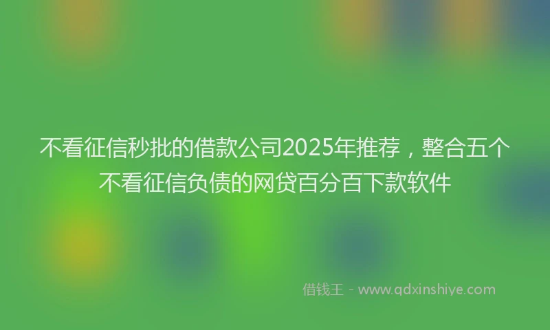不看征信秒批的借款公司2025年推荐，整合五个不看征信负债的网贷百分百下款软件