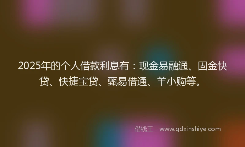 2025年的个人借款利息有：现金易融通、固金快贷、快捷宝贷、甄易借通、羊小购等。