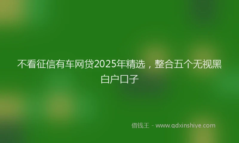 不看征信有车网贷2025年精选，整合五个无视黑白户口子
