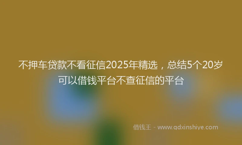 不押车贷款不看征信2025年精选，总结5个20岁可以借钱平台不查征信的平台