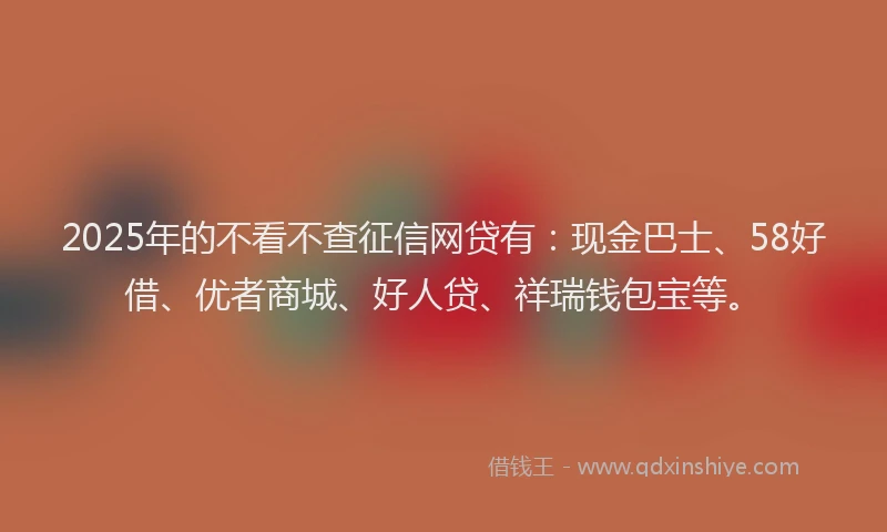 2025年的不看不查征信网贷有：现金巴士、58好借、优者商城、好人贷、祥瑞钱包宝等。