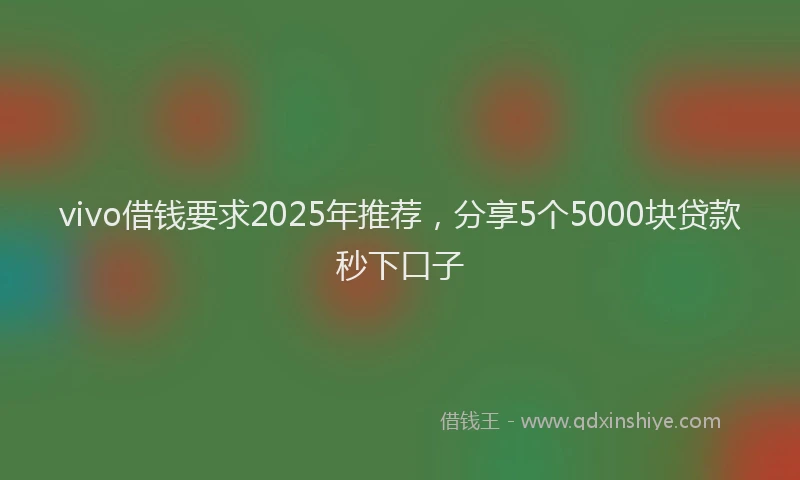 vivo借钱要求2025年推荐，分享5个5000块贷款秒下口子