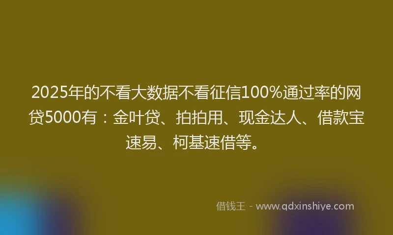 2025年的不看大数据不看征信100%通过率的网贷5000有：金叶贷、拍拍用、现金达人、借款宝速易、柯基速借等。