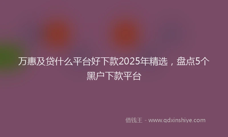 万惠及贷什么平台好下款2025年精选，盘点5个黑户下款平台