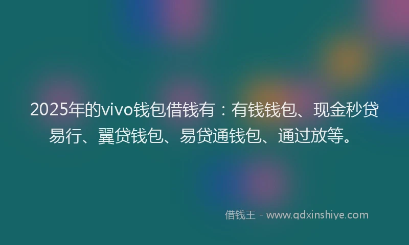 2025年的vivo钱包借钱有：有钱钱包、现金秒贷易行、翼贷钱包、易贷通钱包、通过放等。