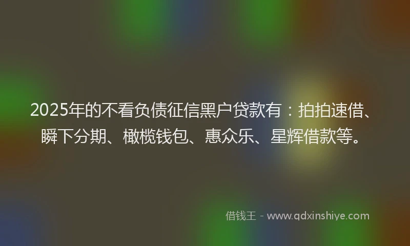 2025年的不看负债征信黑户贷款有：拍拍速借、瞬下分期、橄榄钱包、惠众乐、星辉借款等。