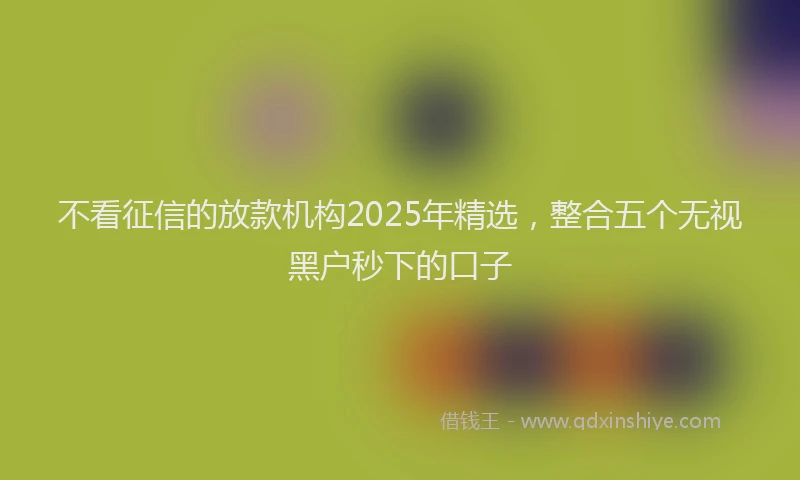 不看征信的放款机构2025年精选，整合五个无视黑户秒下的口子