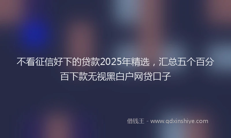 不看征信好下的贷款2025年精选，汇总五个百分百下款无视黑白户网贷口子
