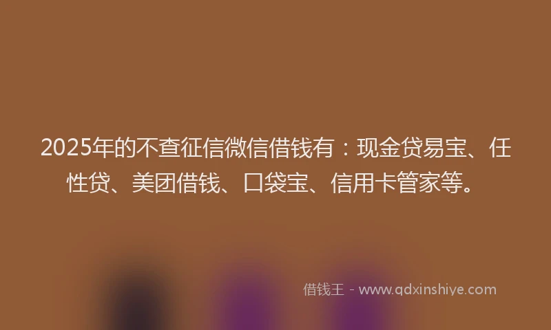 2025年的不查征信微信借钱有：现金贷易宝、任性贷、美团借钱、口袋宝、信用卡管家等。