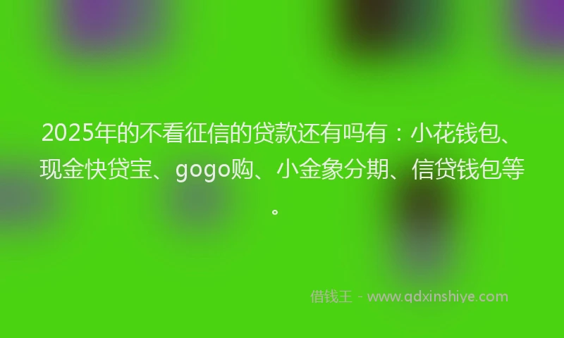 2025年的不看征信的贷款还有吗有：小花钱包、现金快贷宝、gogo购、小金象分期、信贷钱包等。