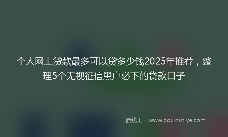 个人网上贷款最多可以贷多少钱2025年推荐，整理5个无视征信黑户必下的贷款口子