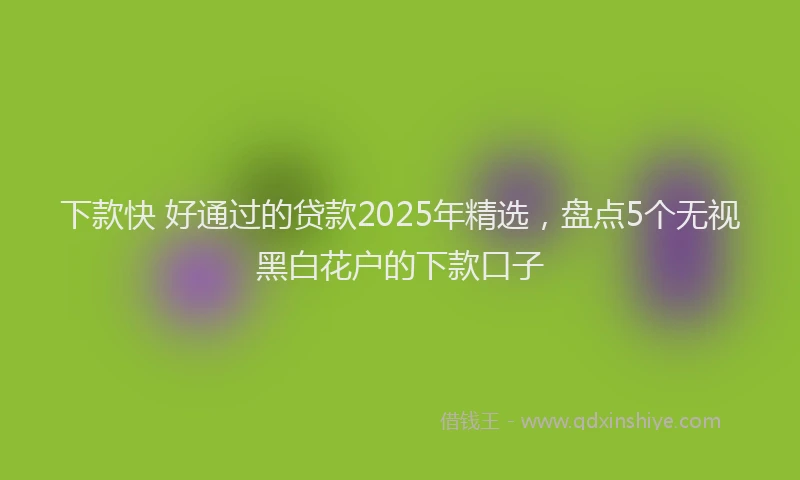 下款快 好通过的贷款2025年精选，盘点5个无视黑白花户的下款口子