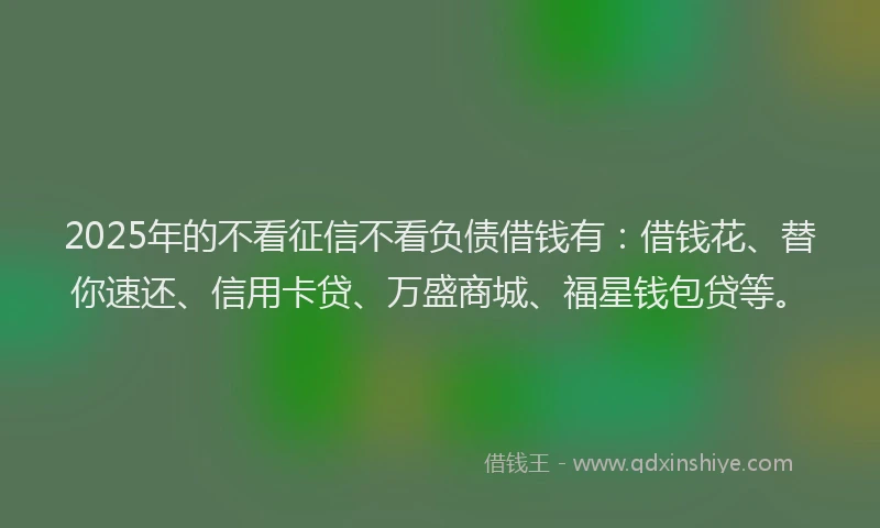 2025年的不看征信不看负债借钱有：借钱花、替你速还、信用卡贷、万盛商城、福星钱包贷等。