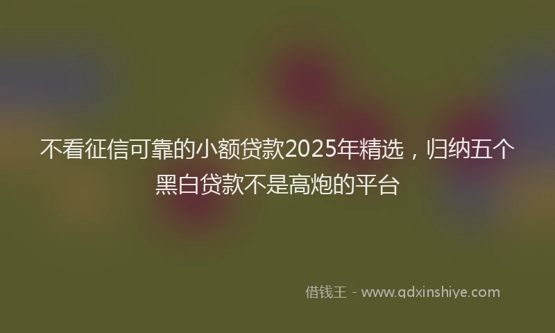 不看征信可靠的小额贷款2025年精选，归纳五个黑白贷款不是高炮的平台