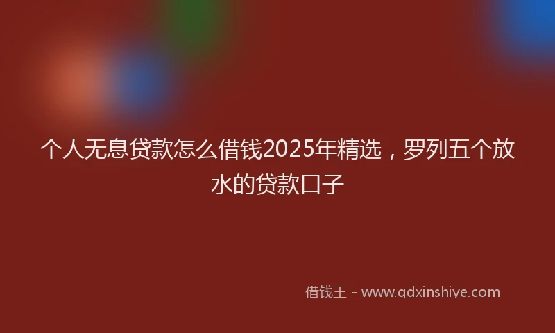 个人无息贷款怎么借钱2025年精选，罗列五个放水的贷款口子